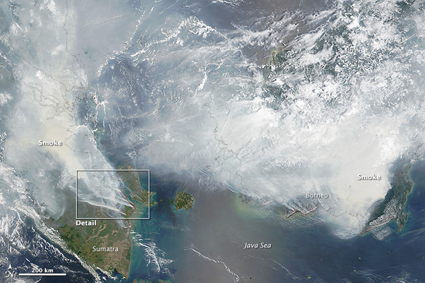 Satellitenaufnamen der NASA zeigen die gigantischen Ausmaße der Waldbrände in Indonesien.