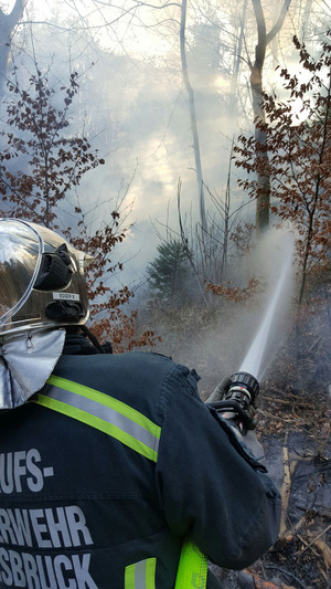 Die Feuerwehr konnte die Flammen rasch unter Kontrolle bringen.