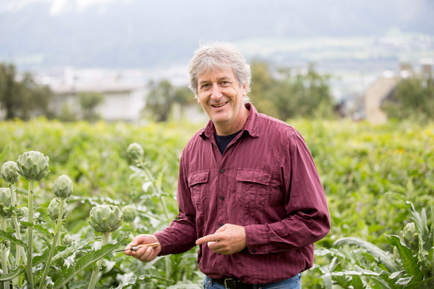 Alfred Unmann, der Gemüse-Experte in der Landwirtschaftskammer, erfreut sich an den hochgewachsenen Rumer Artischocken.