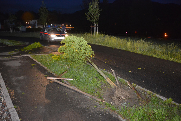 Das Auto rammte mit solcher Wucht einen Alleebaum, dass dieser entwurzelt wurde.
