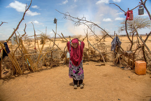 Somalia stöhnt erneut unter einer verheerenden Dürre. Die Ernten sind ausgefallen, die Tiere gestorben.