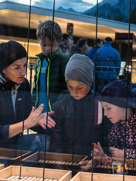 Für Kinder bieten 28 der Tiroler Kulturhäsuer ein eigenes Programm.
