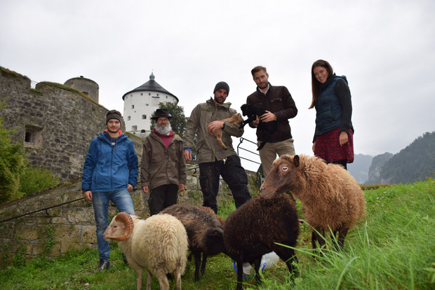 Von links: Felix Weiß, Markus Raithofer, Thomas Holzer und Lisa Mayer (r.) kümmern sich um die sieben tierischen "Rasenmäher" am Festungsberg. Die Idee dazu hatte "Festungsherr" Emanuel Präauer (2. v. r.).