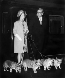 Die Queen zeigte sich immer gerne mit ihren vielen Corgis.