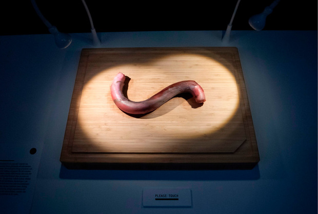 Stierpenis gilt bei Kennern als Delikatesse.