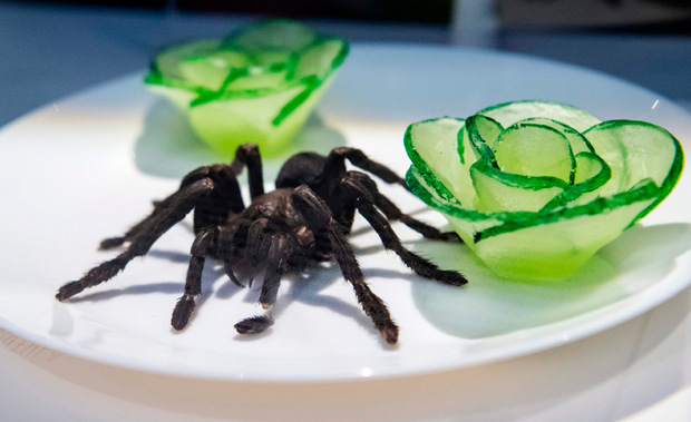 Frittierte Tarantel.