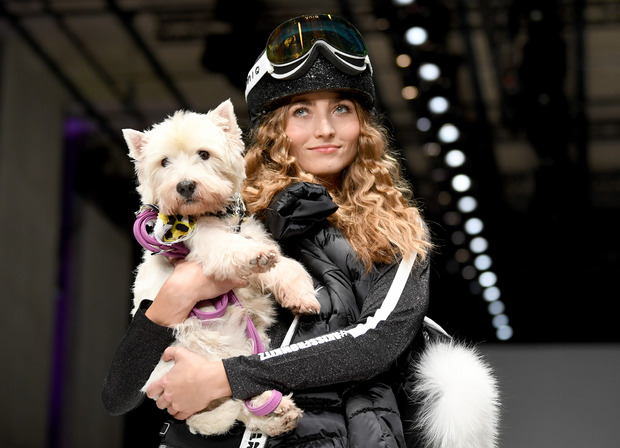Schwarz, Glitzer und Hund.