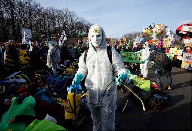 Das Aussterben von Insekten aufgrund von Pestiziden war auch Thema der Demonstrationen.