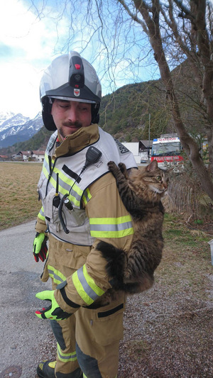 Die Katze wollte nach ihrerer Rettung den Hattinger Gruppenkommandanten nicht mehr los lassen.