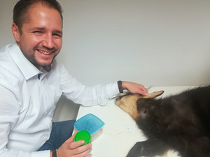 An einer Gämse mit gebrochenem Bein hat Zoodirektor André Stadler die Blutabnahme mithilfe der Wanze im Alpenzoo demonstriert.