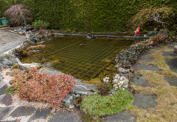 Kaum war das Eis in Jordans Teich geschmolzen, hat der Obmann des Obst- und Gartenbauvereins die Umwälzpumpe aktiviert: „Jetzt ist es wichtig, das Wasser mit Sauerstoff anzureichern und Laub herauszufischen.“