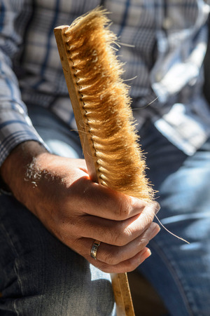 Mit einem kleinen Besen kehrt er verirrte Bienen von seiner Jeans.