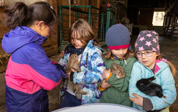 Die Schule am Bauernhof macht den Kindern richtig Spaß.