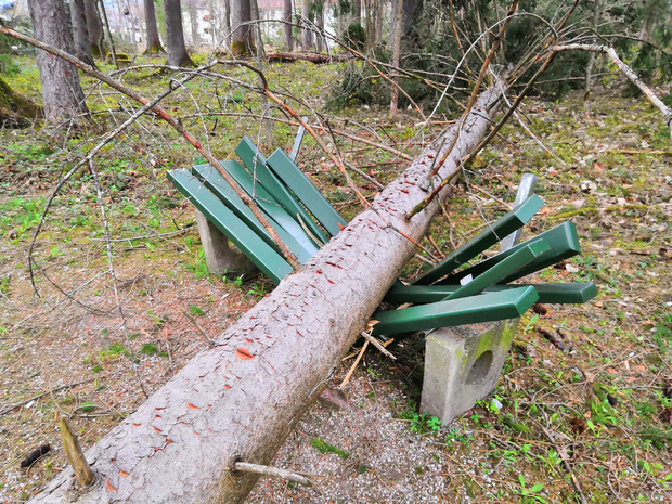 Im Scheulingwald in Mayrhofen wurden mehrere Bäume entwurzelt und eine Parkbank beschädigt. Aus Sicherheitsgründen bliebt der Rundwanderweg im Wald vorerst gesperrt.