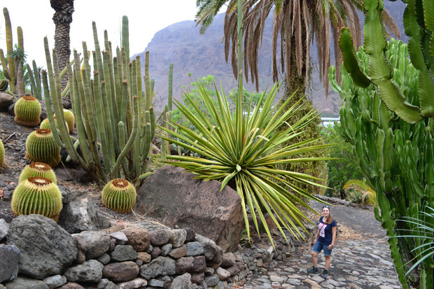 Stachliges gibt es tausendfach im Cactualdea Park zu bewundern.