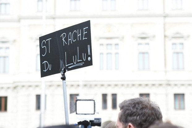 Ein Demo-Teilnehmer der Identitären hatte seinem Frust über das Verhalten der FPÖ mit einem Schild Luft gemacht.