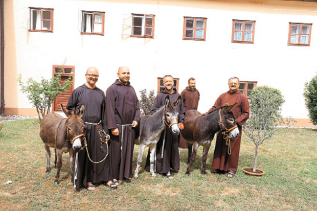 Im Kapuzinerkloster Wiener Neustadt sind Esel eingezogen, sie sollen an die Tradition des Bettelordens erinnern.
