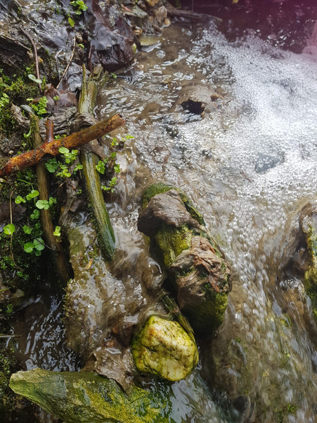 Der Schlamm rief die Behörden auf den Plan.