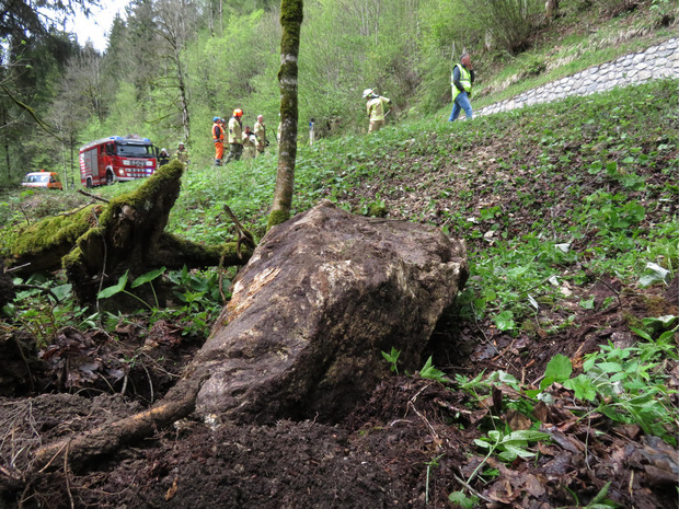 Der Felsbrocken kam unterhalb der Straße zum Liegen.