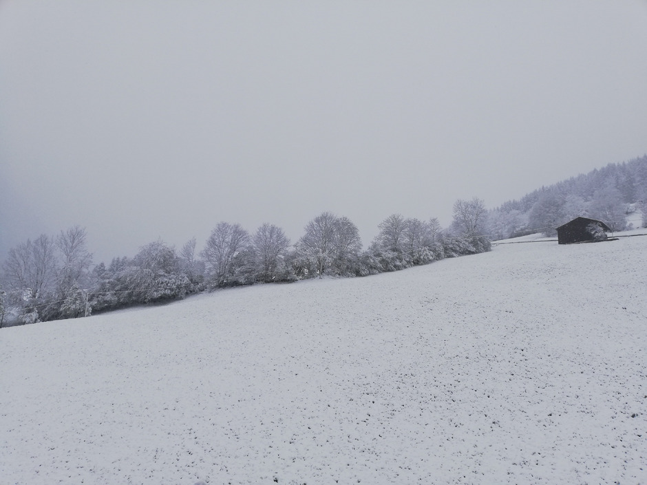 Schnee und Kälte hielten auch im Zillertal Einzug.