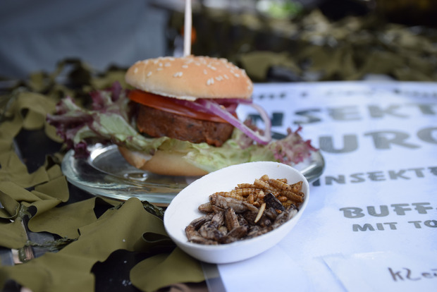 Neues probieren kann man beim Insektenzelt: Im Burger winden sich die Würmer aber nicht mehr.