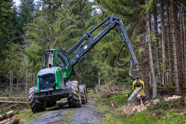 Ein Harvester richtet die bereitgelegten Stämme passend zum Abtransport her.