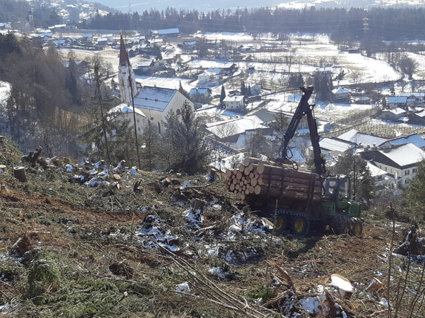 Bisher wurde in Dölsach die Hälfte des Schadholzes entfernt.