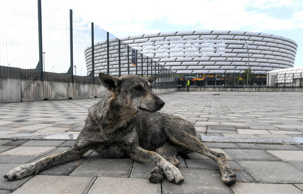 Der Austragungsort Baku stieß bei allen Beteiligten auf wenig Gegenliebe.