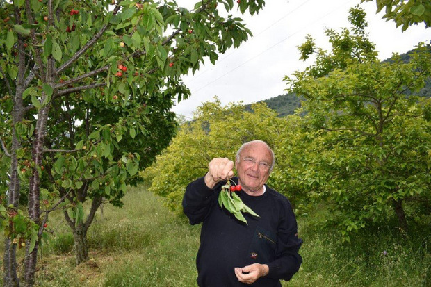 Robert Kran führt durch seinen einzigartigen Obstgarten in Avapessa.