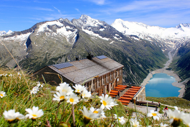Bis die Blumen rund um die Olpererhütte so blühen wie auf diesem Archivbild vom Vorjahr, dauert es wohl noch einige Tage oder Wochen.