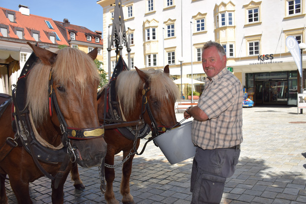 Als Standplatz dient dem Landwirt und seinen Norikern Gibsi und Larissa ein schattiges Plätzchen am Unteren Stadtplatz – direkt neben dem Brunnen, aus dem es für die Pferde nach jeder Fahrt erstmal einen Eimer voll kühlem Wasser gibt.
