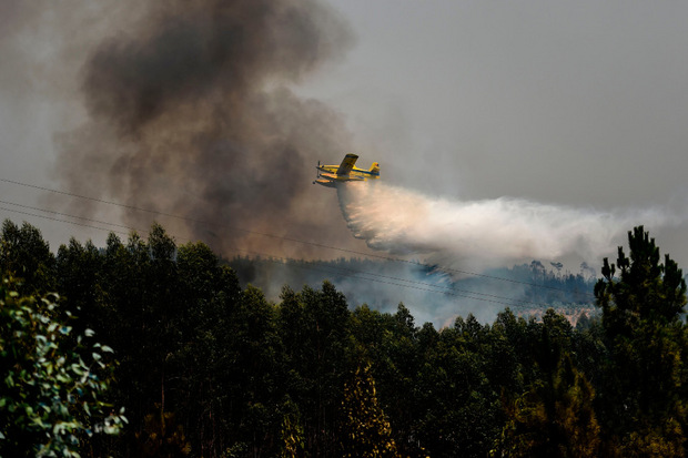 Auch Löschflugzeuge sind im Einsatz.