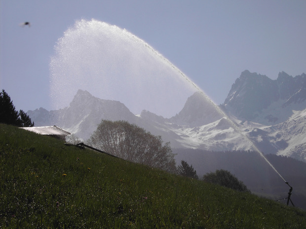 Ein markanter Unterschied – wo im letzten Jahr mit Wasser aus dem Hangkanal bewässert wurde ...