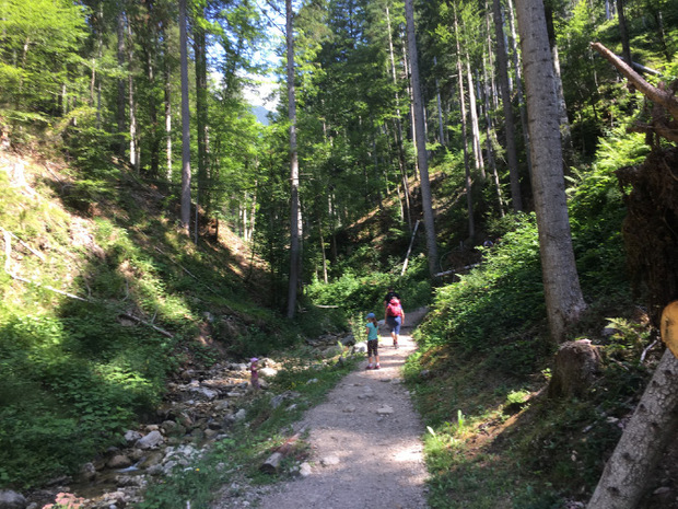 Zunächst geht es gemütlich durch die Rehbachklamm.