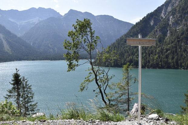 Diesen Blick hat man vom „Höllkopf“ auf den Plansee hinunter.