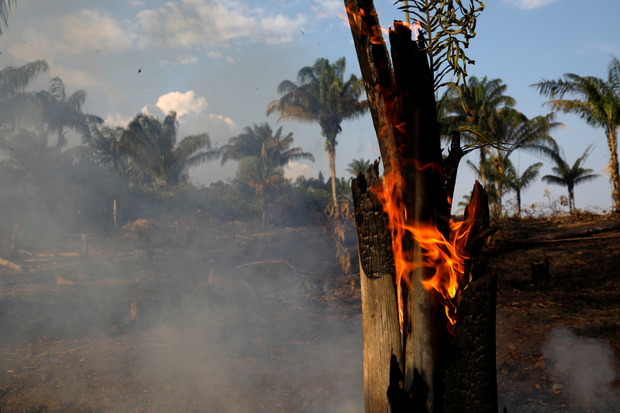 Insgesamt wurden seit Jänner mehr als 70.000 Brände im Amazonas-Gebiet registriert.