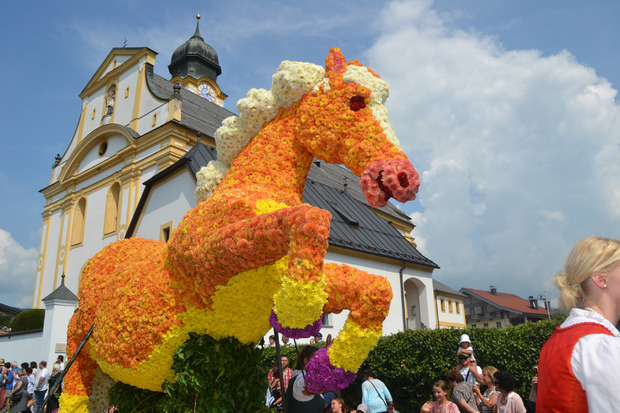 Der Haflinger erinnerte an die Weltausstellung im Fohlenhof, die im kommenden Jahr in Ebbs stattfindet.