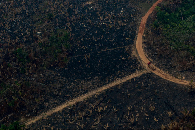 Mehr als 82.000 Brände wüten seit Jänner im Amazonas-Gebiet.