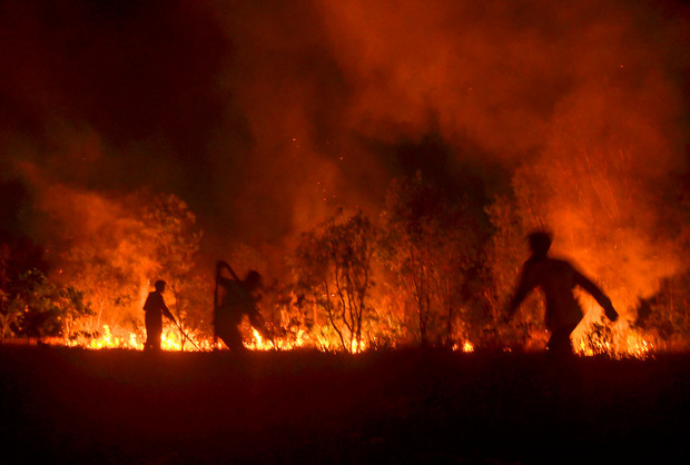 Feuerwehrleute versuchen ein Feuer in der Region Riau (Indonesien) zu bekämpfen.