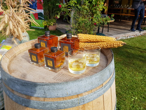 Das flüssige „Glatzl Gold“ glänzt durch Farbe und Geschmack.