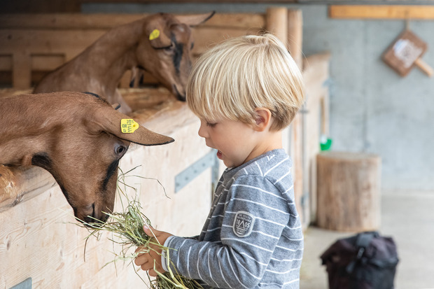 Vor Ort erfährt man in Österreichs erster Schausennerei und am Schaubauernhof Wissenswertes über den gesamten Kreislauf der hochwertigen Tiroler Lebensmittel.