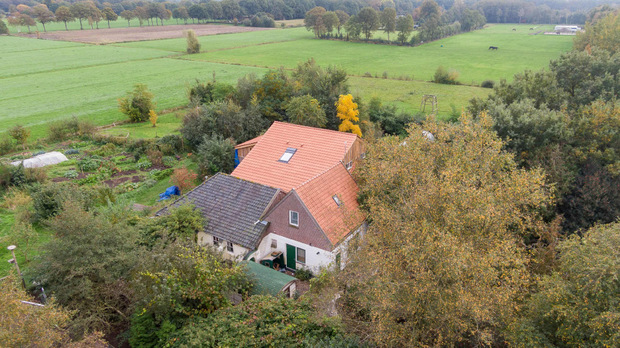 Niederländische Medien berichteten, dass die Polizei hinter einem Kasten im Wohnzimmer des Hauses eine Stiege entdeckt hatte, die in den Keller führte.