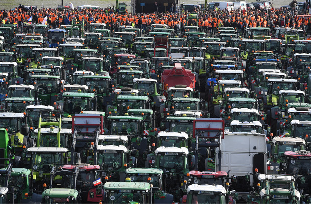 Landwirte aus Mecklenburg-Vorpommern stehen mit ihren Treckern bei einer Protestaktion gegen das Agrarpaket der Bundesregierung im Rostocker Stadthafen.