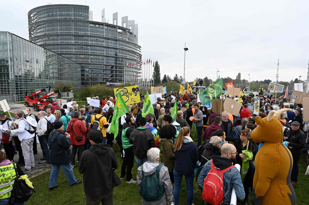 Hunderte Menschen protestierten vor dem Parlament.