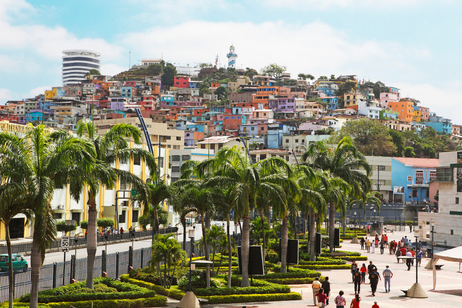 Mit Hut, so wie Johnny Depp: Eine Reise durch Equador - Tiroler Tageszeitung Online