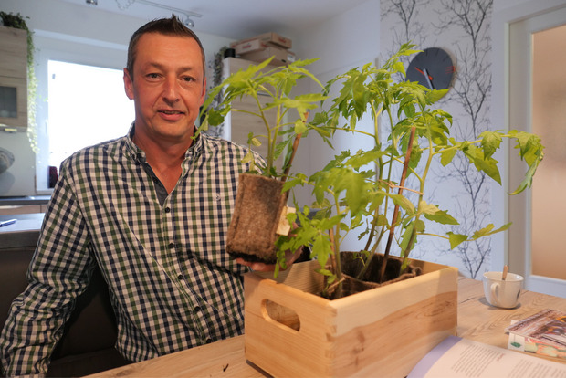 Thomas Schrotter mit jungen Tomatenpflanzen.
