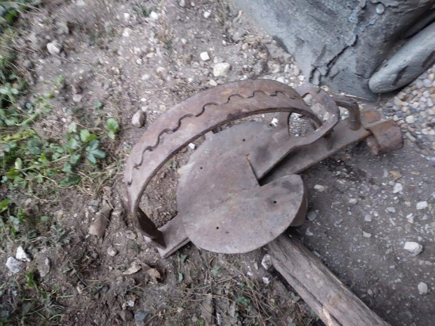In dieser illegalen Bärenfalle war der Kater über Stunden gefangen.
