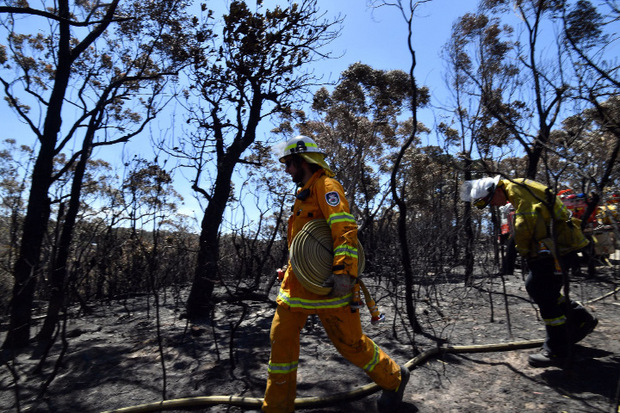 Hunderte Feuerwehrleute kämpfen im ganzen Land gegen die Flammen.